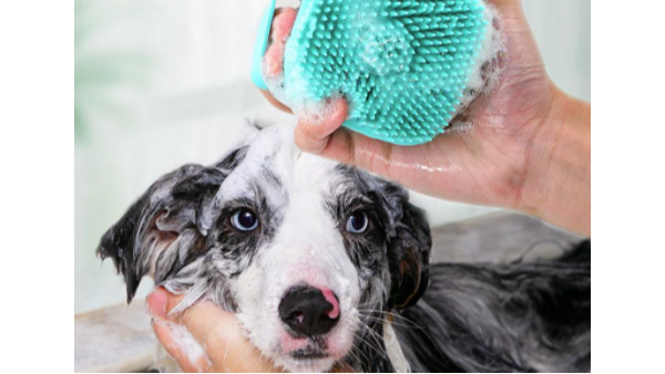 東莞做矽膠的廠家都有什麽特點？哪個廠家的產品適合購買？