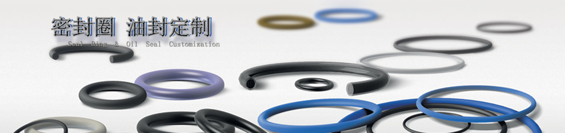密封（fēng）圈